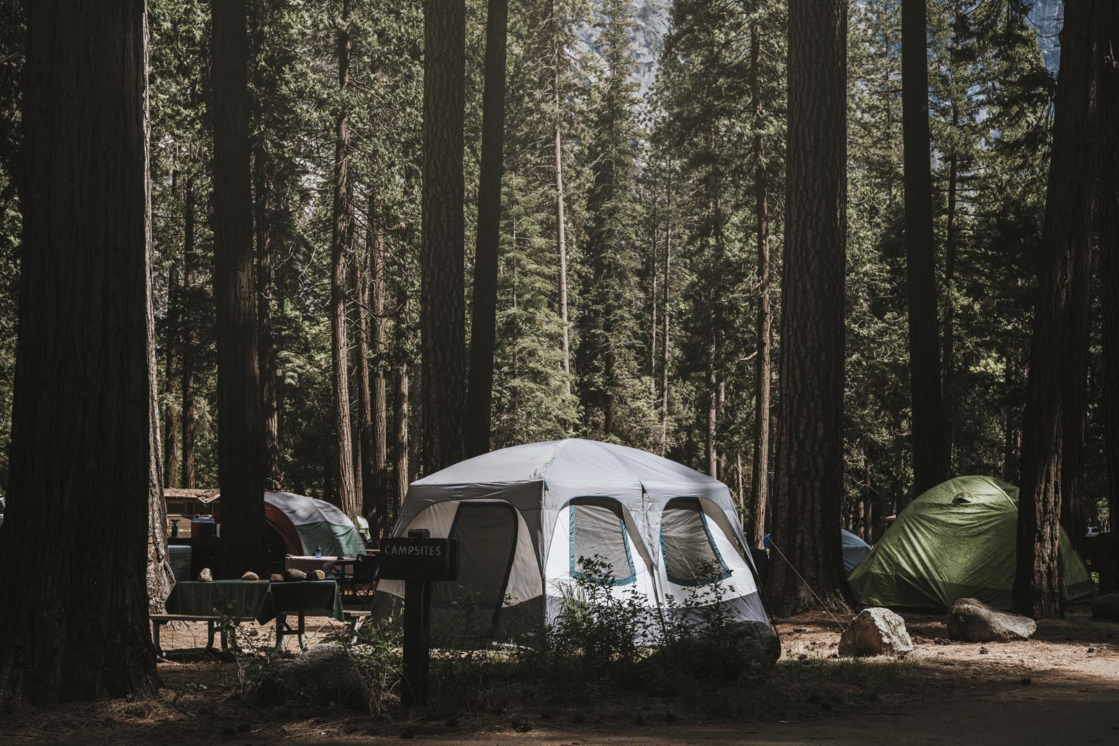 Tent campsite woods